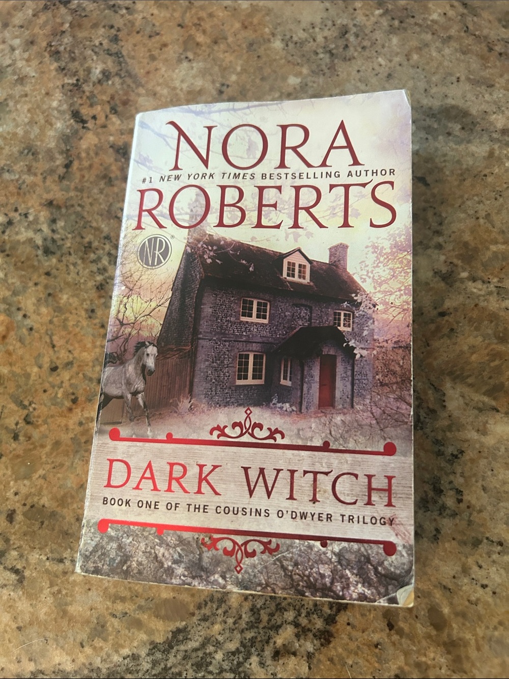 Nora Roberts "Dark Witch" Paperback Novel - Red, Purple, Cream
